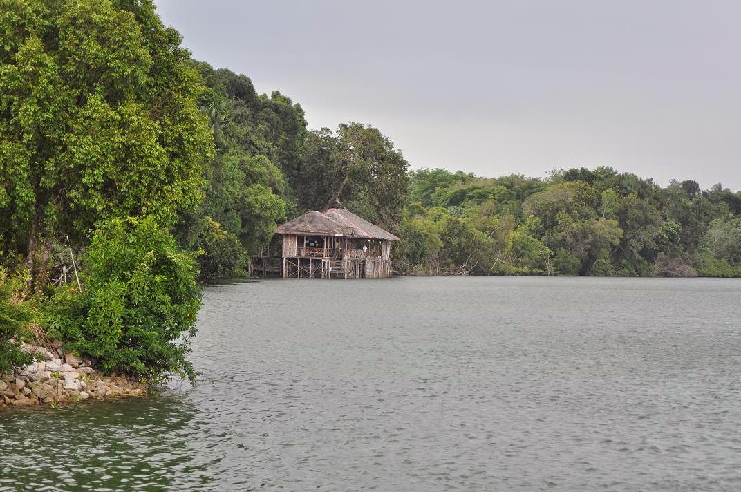 Mengamati Kunang-Kunang di Hutan Mangrove Sungai Sebong Bintan ~ Tempat