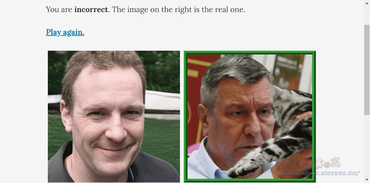 Which Face Is Real?分辨真假人臉