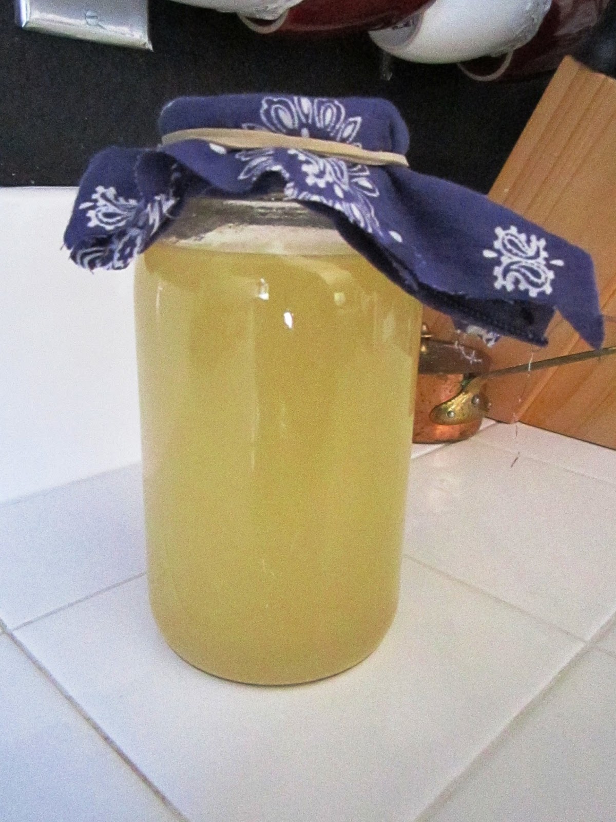 Entropy Kitchen Making Apple Cider Vinegar