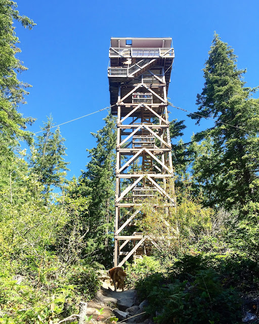 Heybrook Lookout 