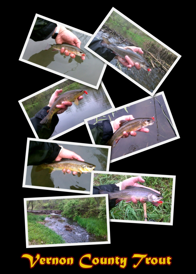 Illinois Wisconsin Fishing vernon county wisconsin trout fishing