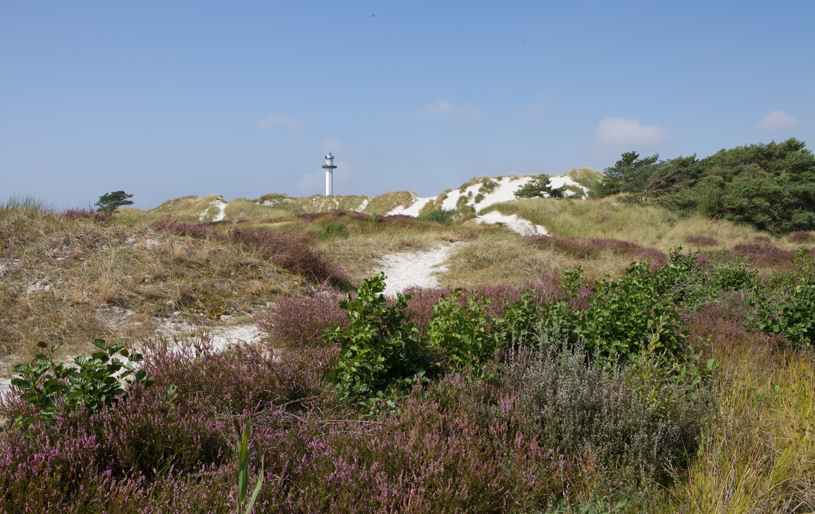 Verusbloggen Bornholm del 3. Dueodde.
