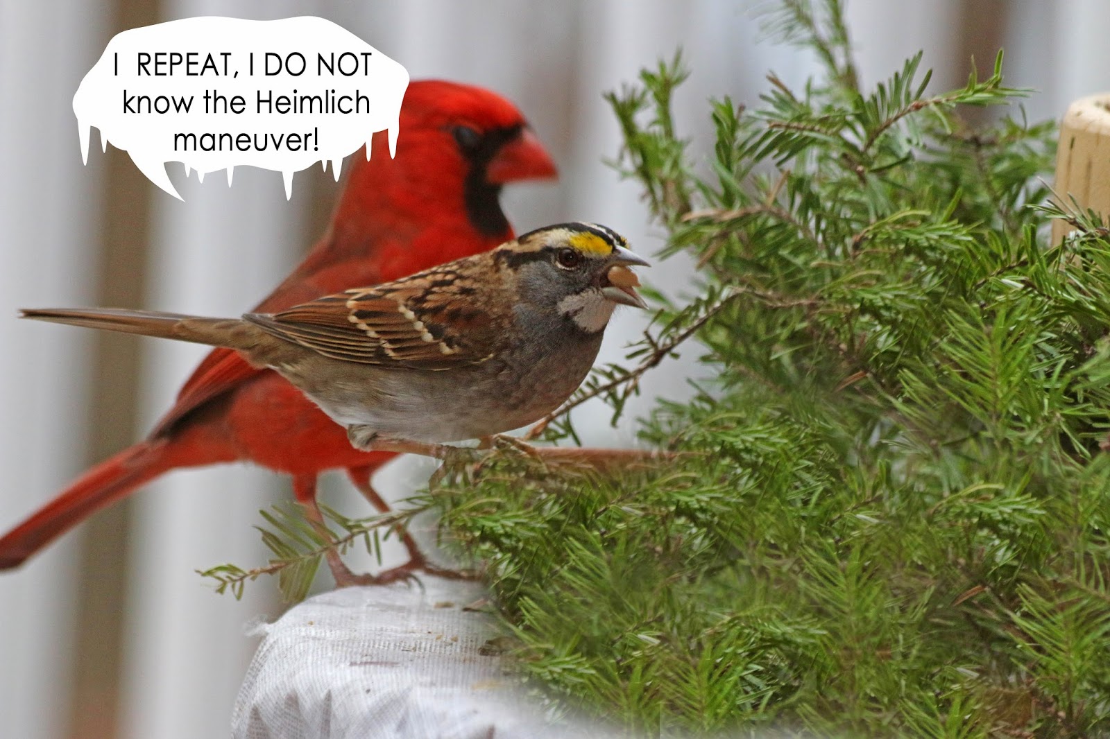 Feast or famine - Idioms by The Free Dictionary