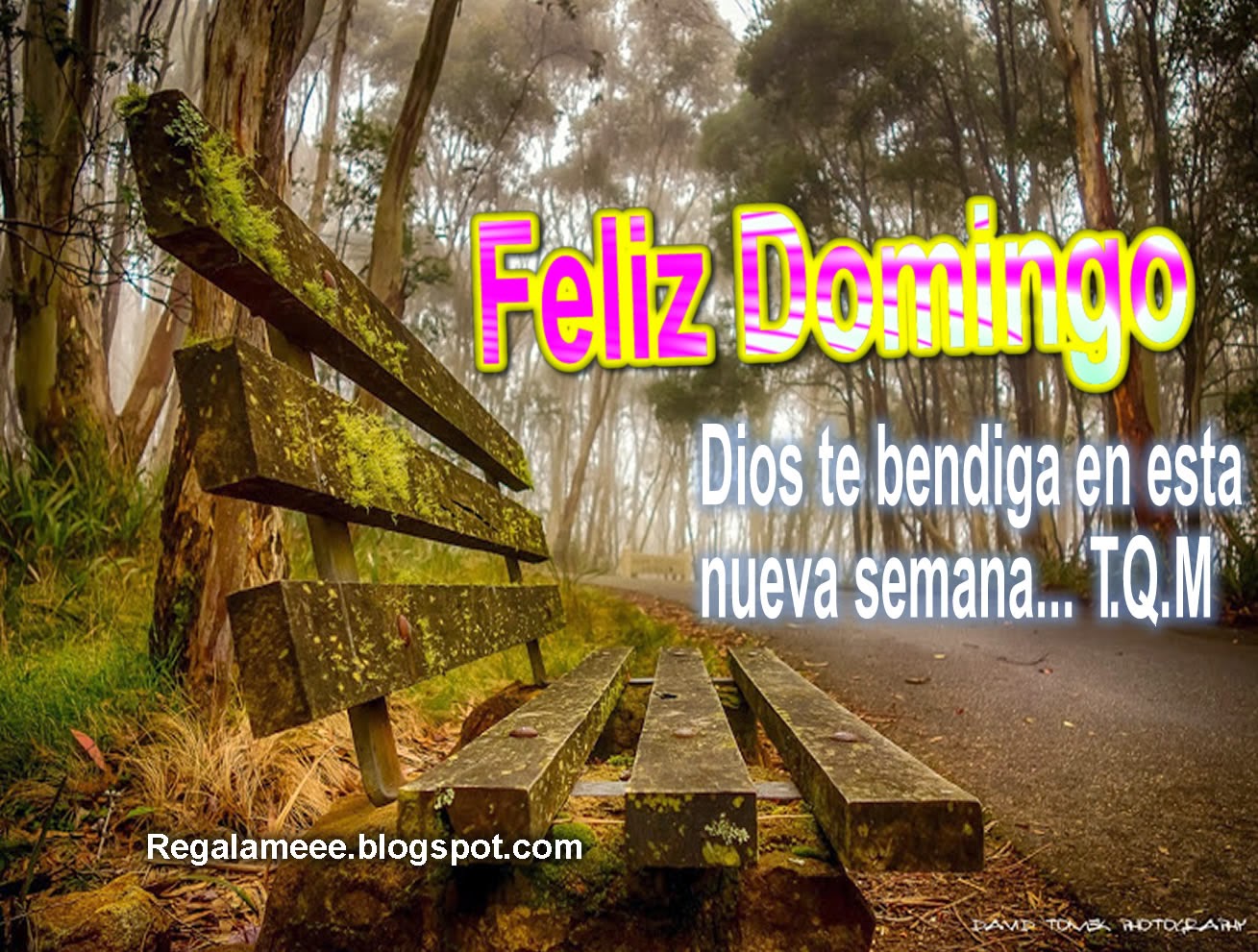 FELIZ DOMINGO / TARJETAS, MENSAJES Y FRASES CRISTIANAS ~ Familiayamor.com