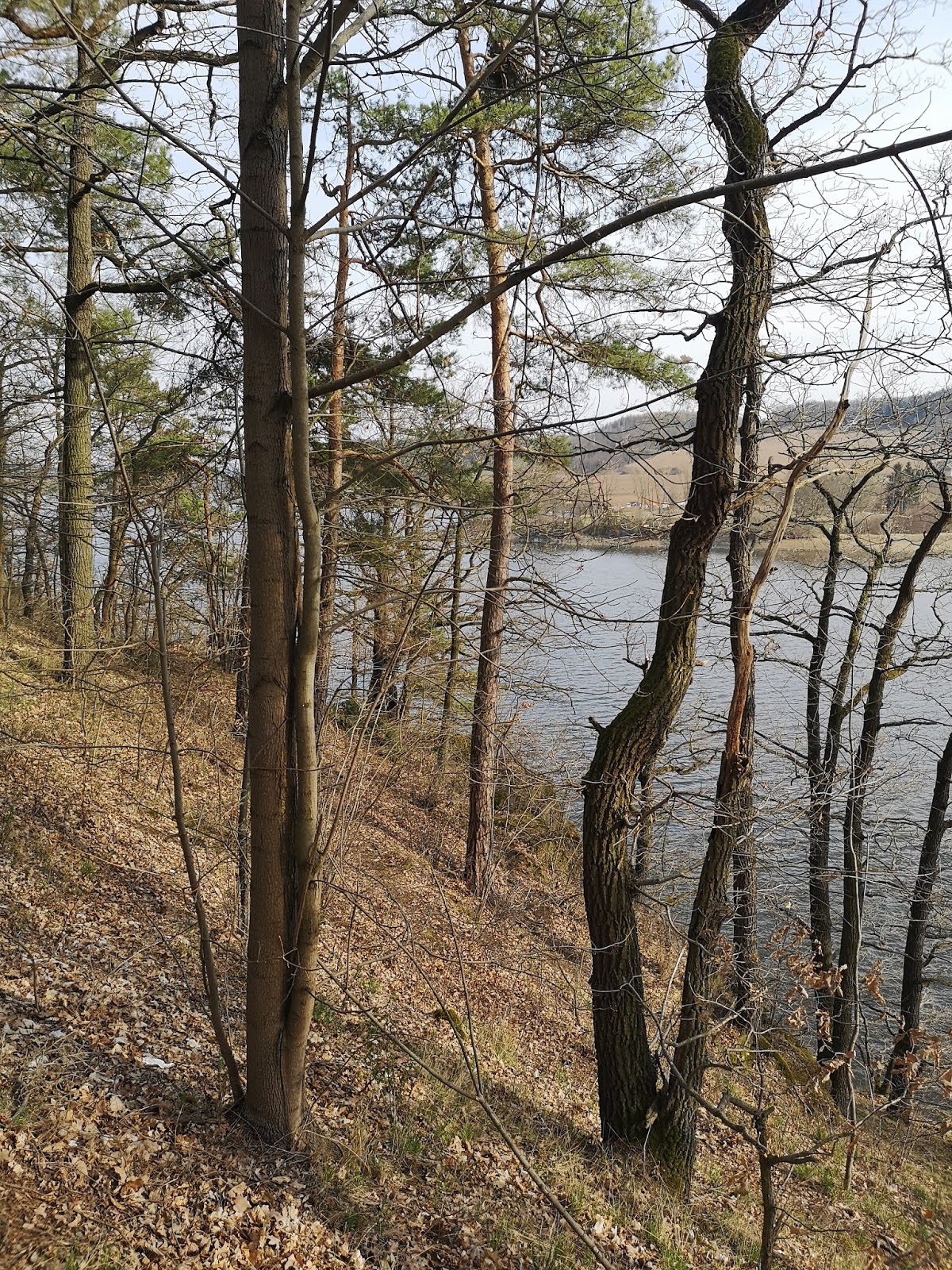 Neuzugange Und Lesemonat April Und Mai 2019