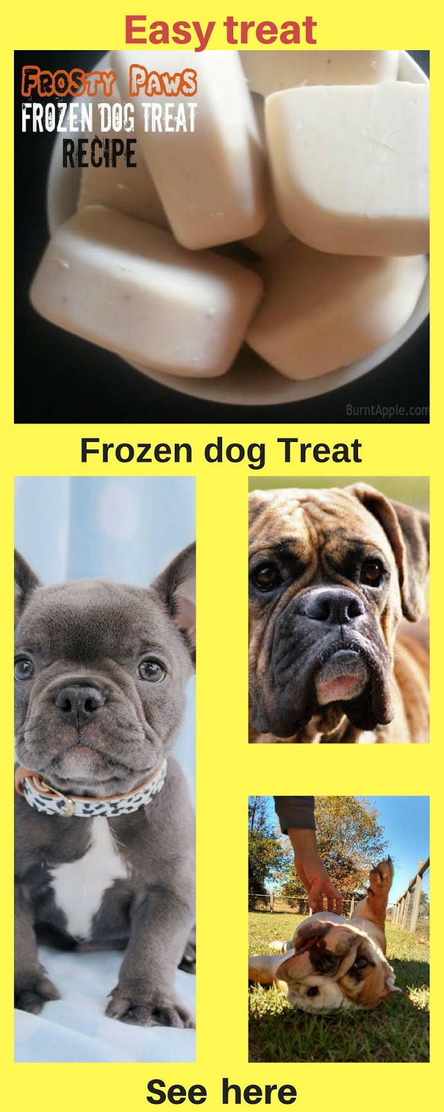 I love My Dog; Natural Pet Health, Frozen Dog Treat " Frosty Paw Paws