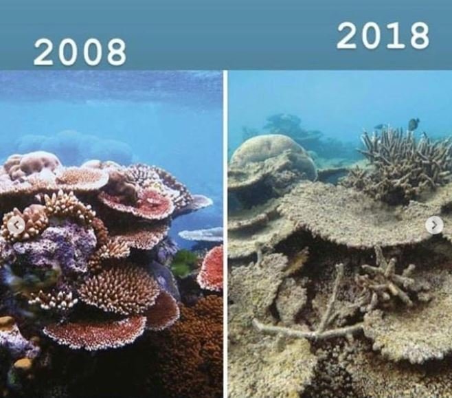 Greenpeace's #10YearChallenge Is Not Funny At All (Pictures)