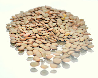 Linsen (Lens culinaris)
