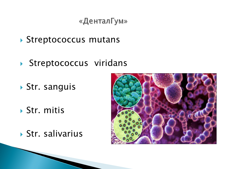 Streptococcus viridans — Википедия