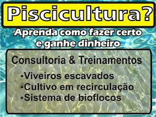 CRIAÇÃO DE PEIXES EM CAIXA D´AGUA