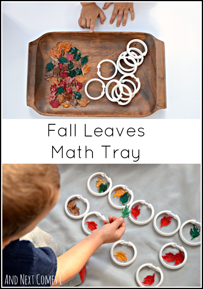 Fall Leaves Math Tray | And Next Comes L