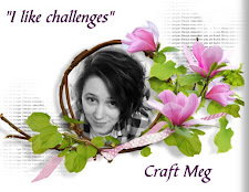 Craft Meg
