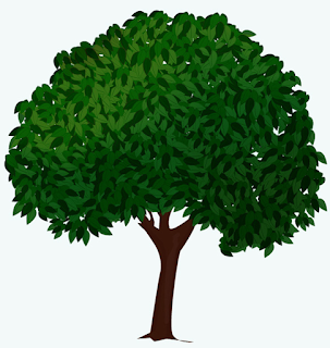 how-to-vector-image-tree-with-adobe-illustrator