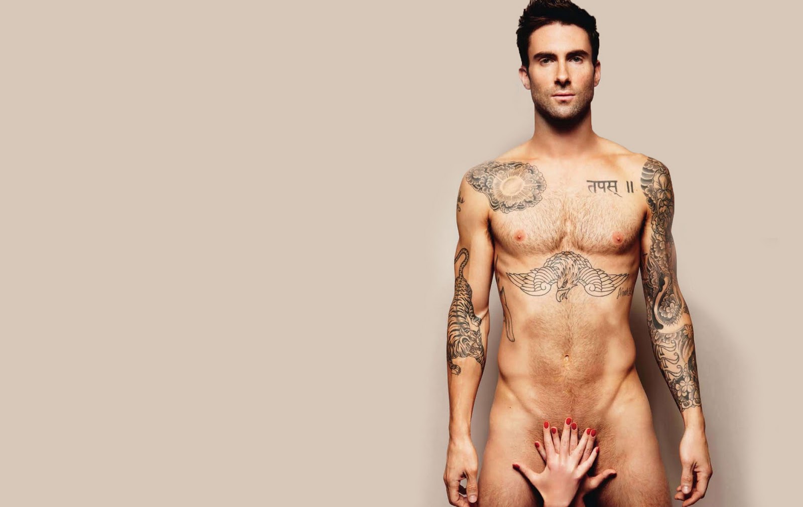 ADAM LEVINE | FULL HD WALLPAPERS