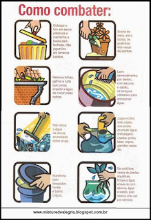 Como combater a dengue Como combater a dengue