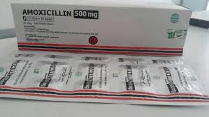 Konseling Obat Amoxicillin Home Care