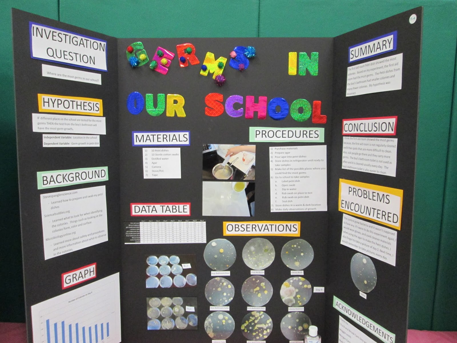 Science: It's All Elementary: Science Fair Expectations and Resources