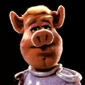 Obrazek
