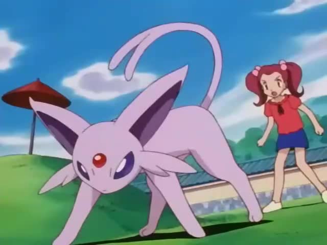 Ver Pokemon Temporada 5 - La Busqueda del Maestro - Capítulo 17