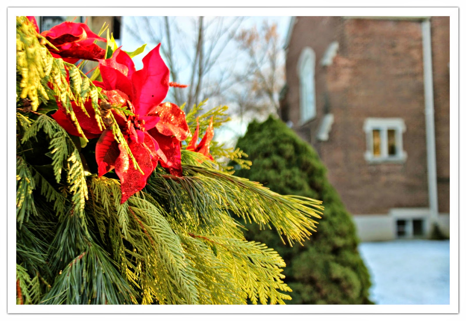 Red decoration in green bows