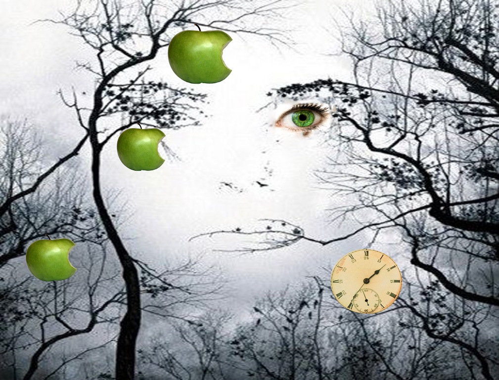 out-of-this-world-photo-montage