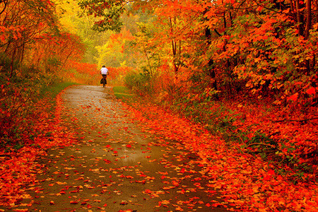 La Vie en Rose: Otoño!!!