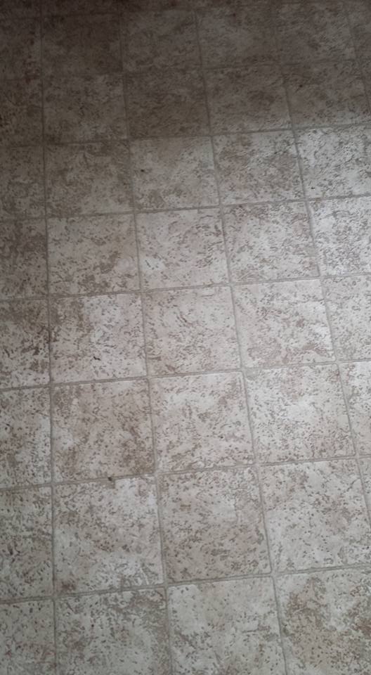 Get Floors Cleaned Quick with the Shark Genius Steam Pocket Mop System