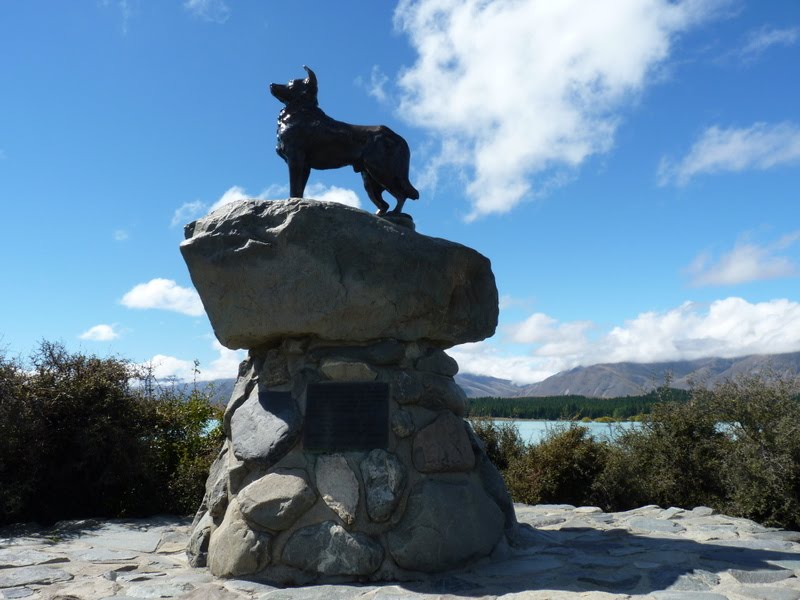 Hellabys in New Zealand Church of the Good Shepherd & Sheepdog Statue