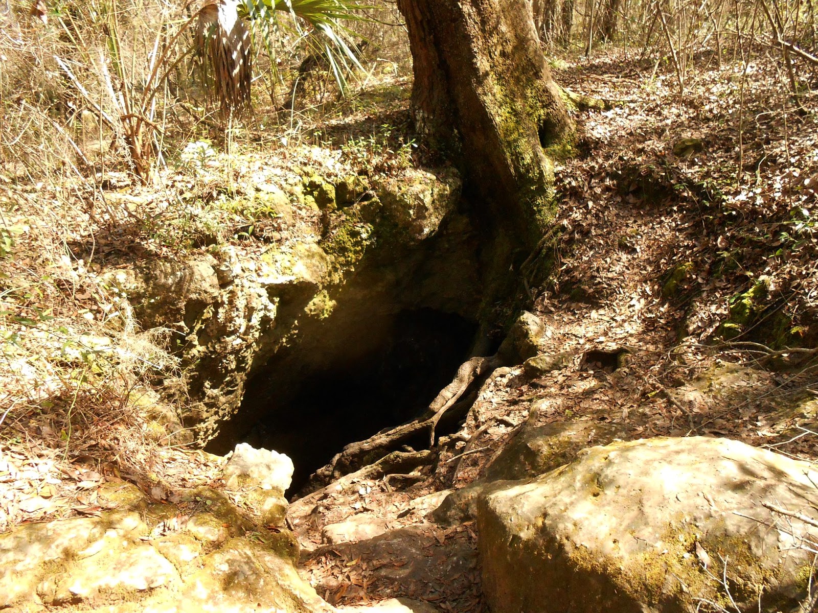 Dames Cave: Cave Spelunking in Florida - Lost Girls Adventures