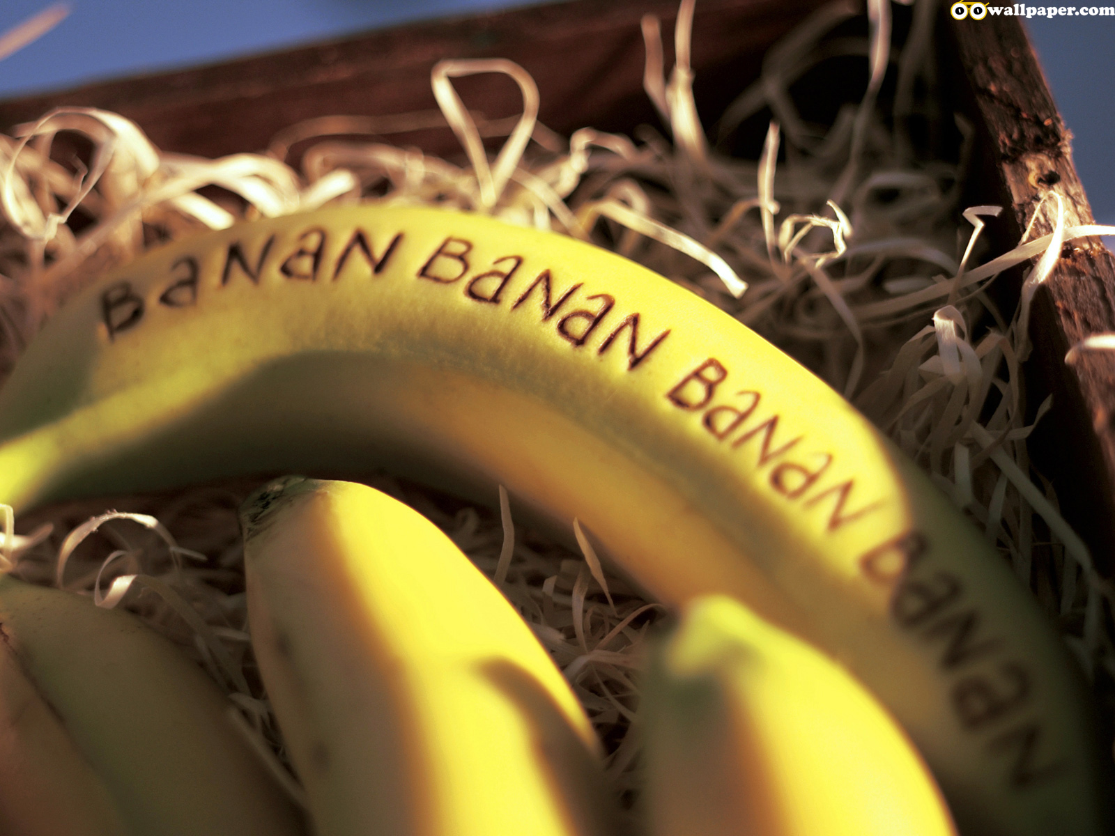 http://2.bp.blogspot.com/-BiupGkybbqg/TxkahaOSuiI/AAAAAAAAD0c/sgqqFAMmPaw/s1600/oo_food_fruit_banana.jpg