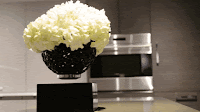 Levitating X Collection Launches on Kickstarter Innovation News Startup TechWire