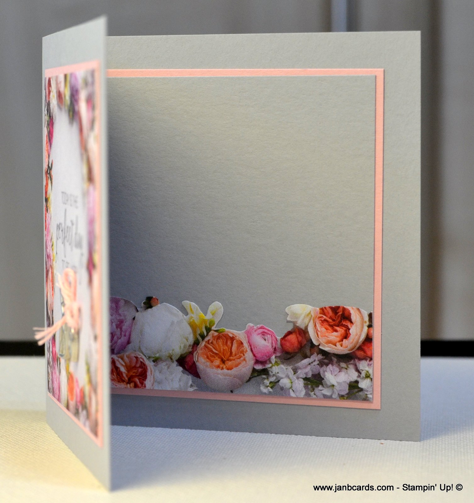 Petal Promenade Card and Box Video - JanB Cards