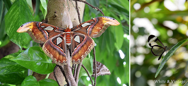 Deko Und Diy Blog Kreative Deko Ideen Fur Ein Schones Zuhause