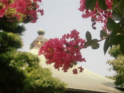 �Ɋy���̃T���X�x��