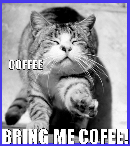 cat need coffeeee
