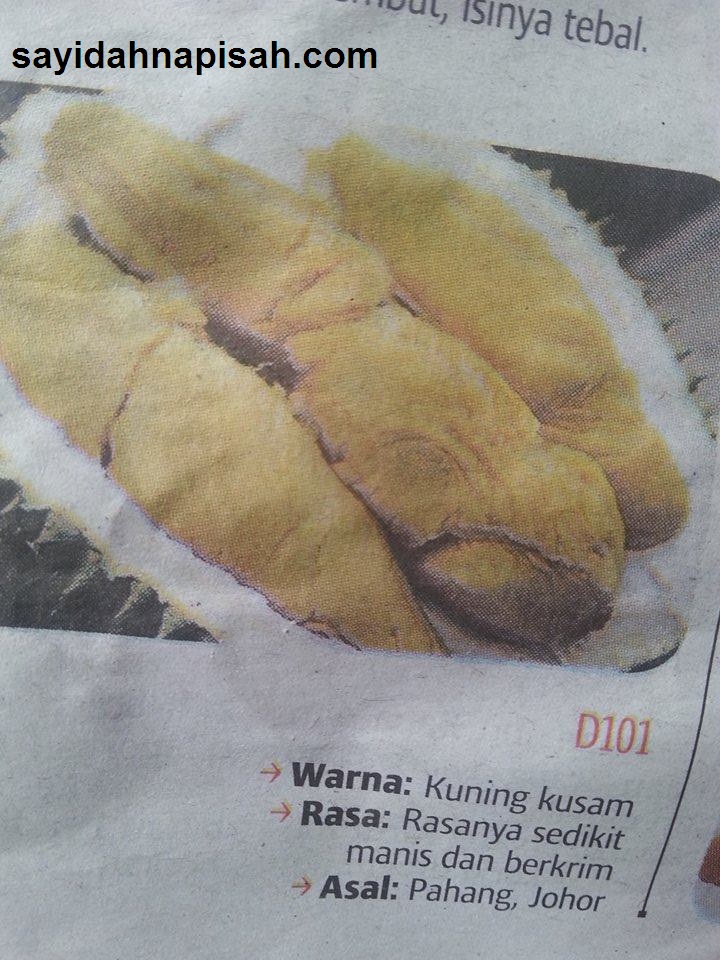 7 Jenis Durian Yang Popular Di Malaysia