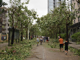 People on Lian'an Road in Zhuhai after Typhoon Hato