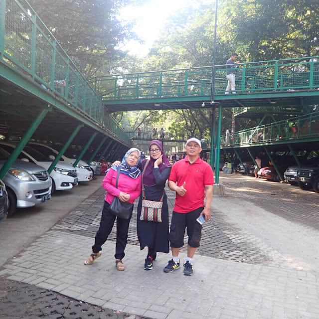 Forest Walk Babakan Siliwangi, Bandung - Setengah Hari Mengelilingi 5 Taman di Bandung Dengan Berjalan Kaki