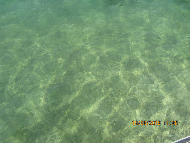 sauberes und warmes Wasser im Gardasee