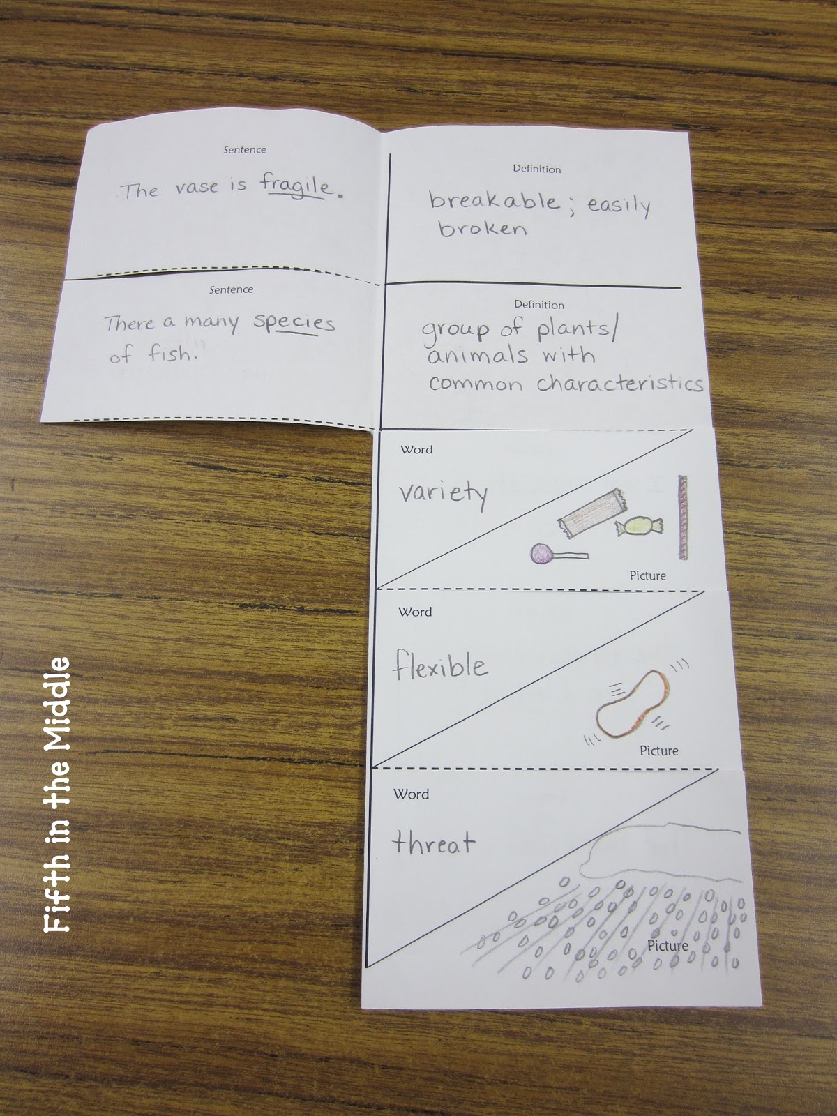 vocabulary foldable template