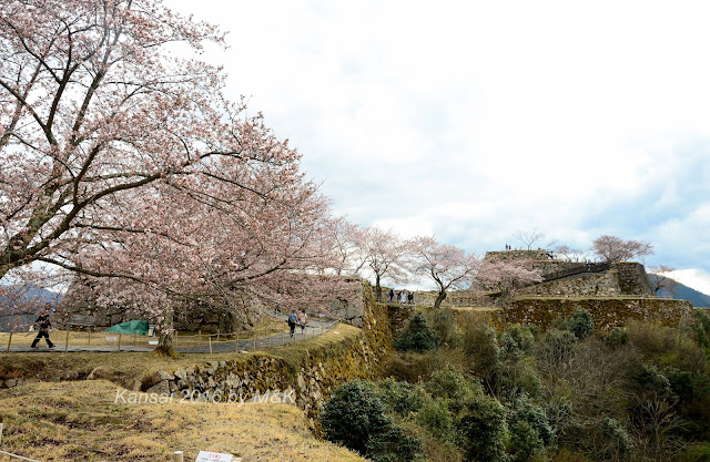 Day 15.5 竹田城跡