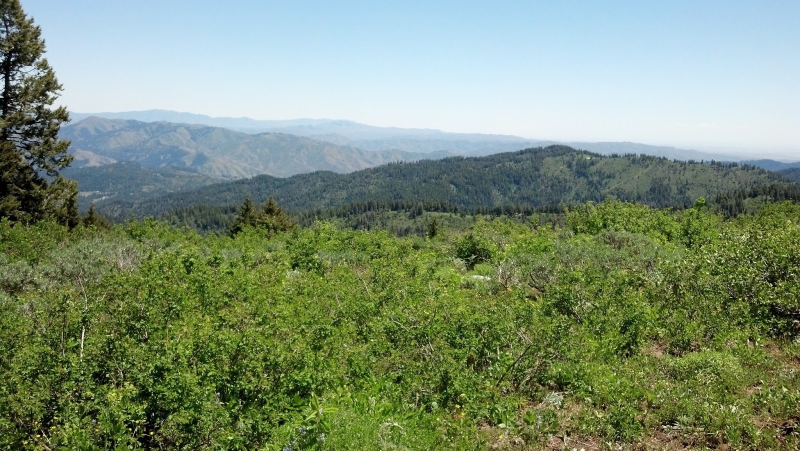 60 Hikes at 60 Hike 13 Bogus Basin, Deer Point Trail