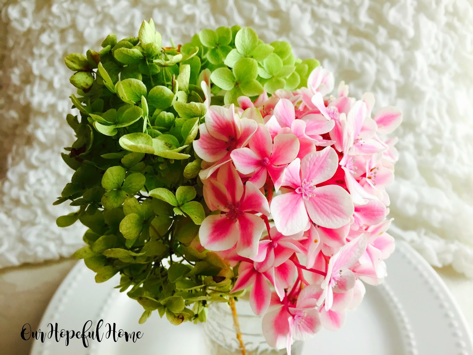 Aiken House Gardens Garden Bounty