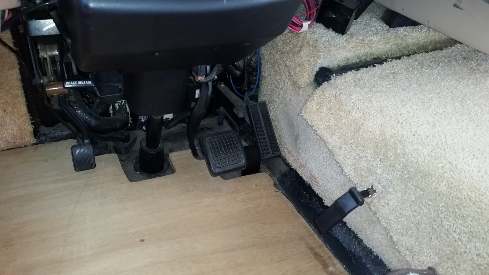 4 Dog Craziness RV Carpet replacement.