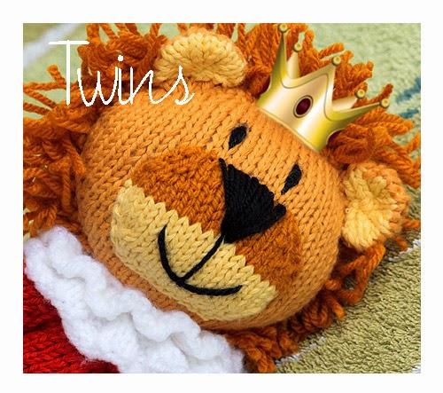 knitted lion