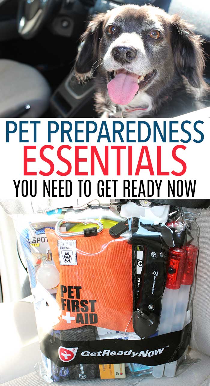 Pet Preparedness Essentials You Need to Be Ready Now Sunny Day Family