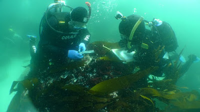 Wreck of 221-year-old slave ship discovered off South Africa