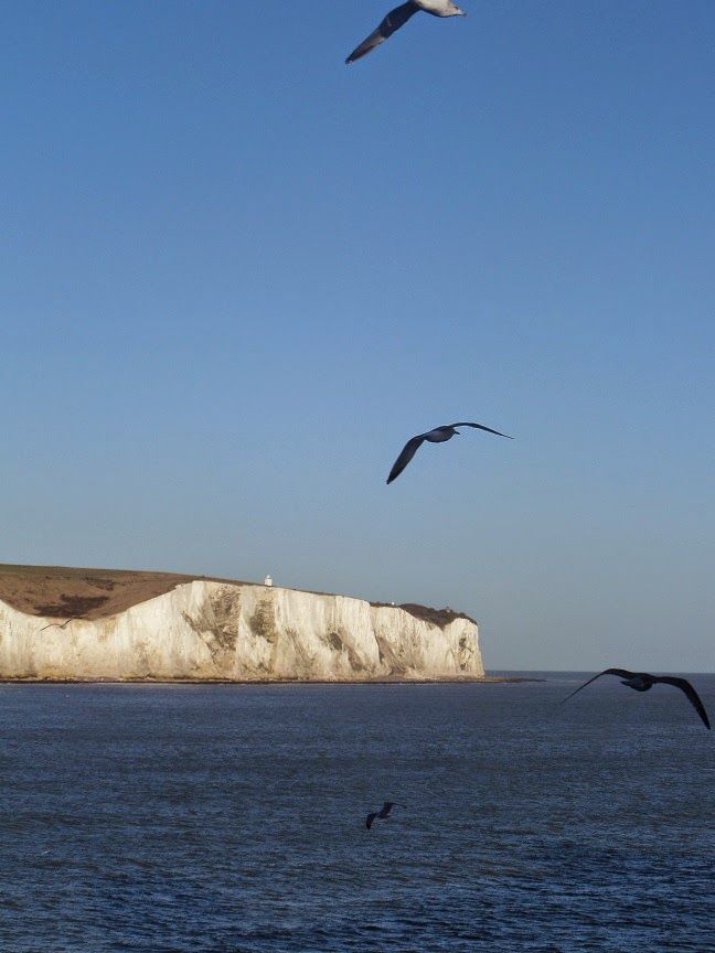 Madhouse Family Reviews Madhouse Diaries Not quite bluebirds over