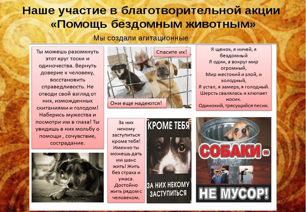 Проекты помощи бездомным