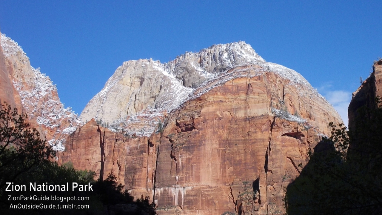 Zion National Park Guide